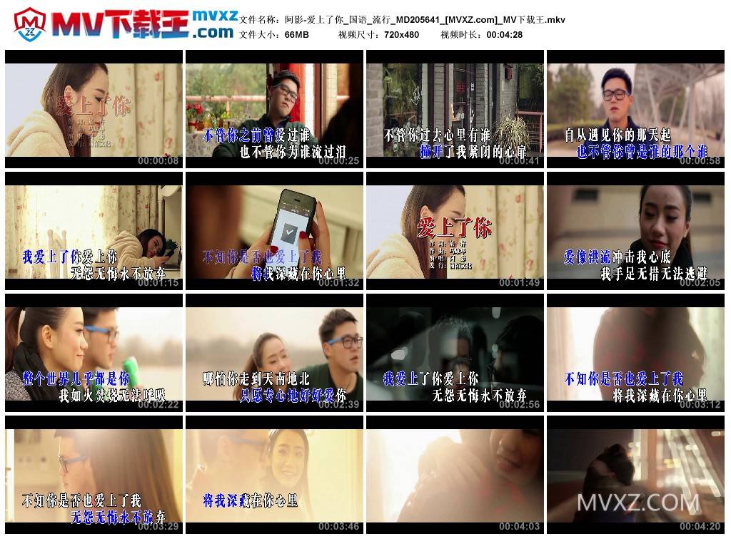 阿影-爱上了你_国语_流行_MD205641